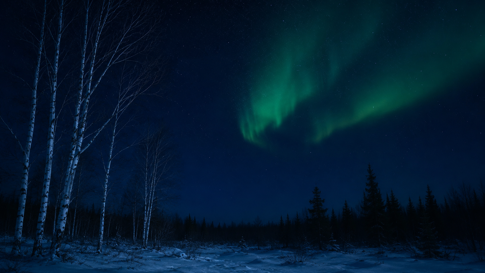 Russian winter forest under aurora
